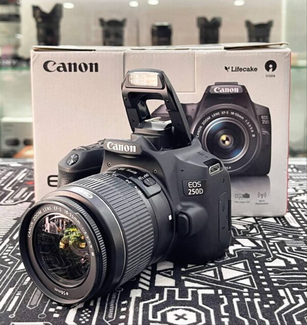 Canon EOS 250D Kit Lens