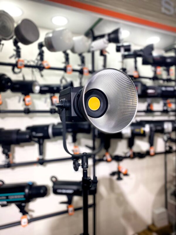 Nanlite Forza 300 Daylight LED Monolight (Bowens Mount) with 90-Day Warranty