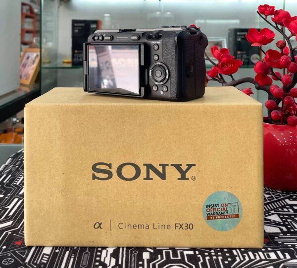 photo_2025-06-14_07-45-02 Sony FX30 with SmallRig Cage + Accessory Bundle