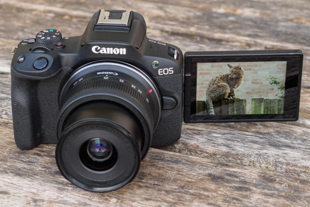 mirrorless cameras for beginners 